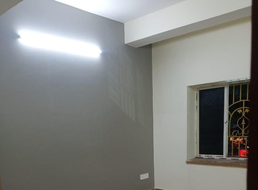 Light Grey and White - Wall Colour Combination & Wall Painting Design