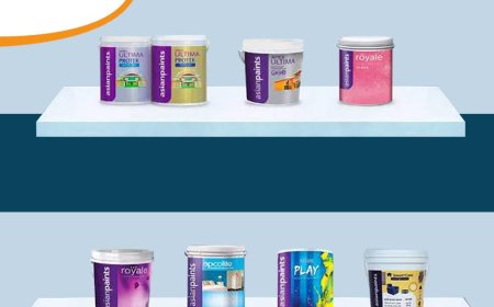 Asian Paints Price | Asian Paints Price List 2024 | All Asian Paints Product and Prices