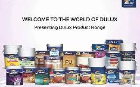 Dulux Paint Price | Dulux Paint Price List 2024 | All Dulux Paint Product and Prices