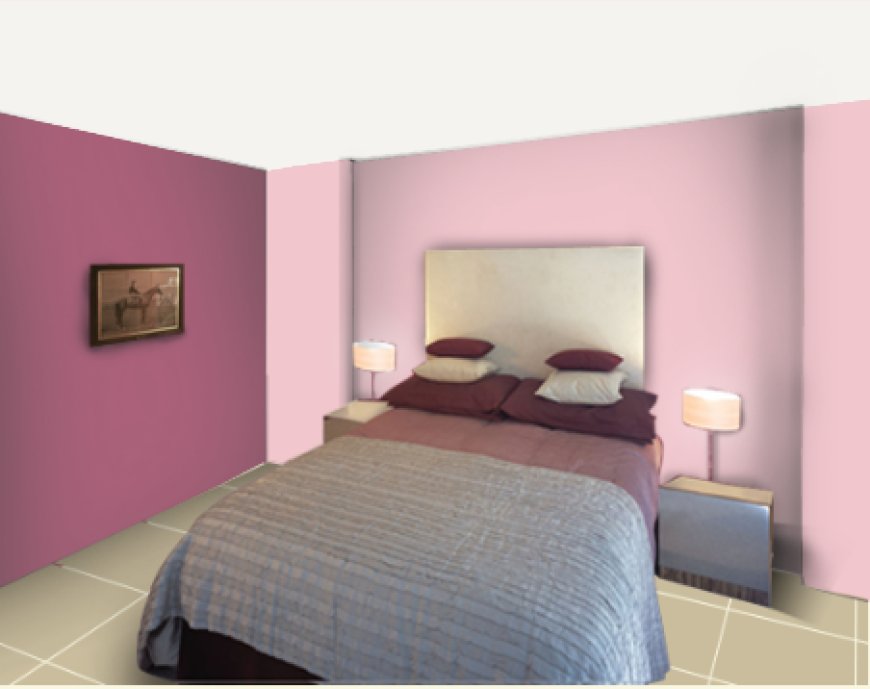 Orchid PINK and Plum