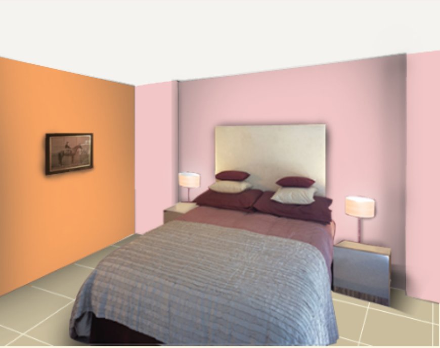 Cherry Blossom PINK and Pale Orange