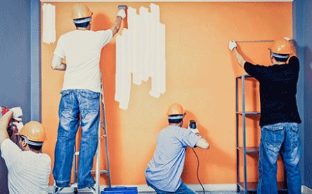 House Painting Process | Step-by-Step Guide