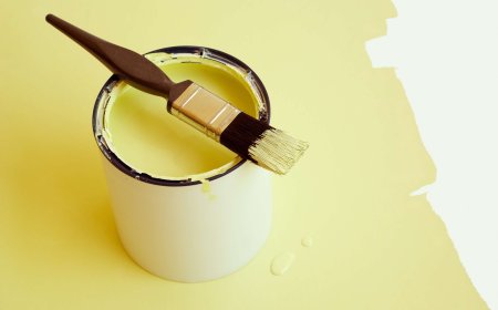 What is Enamel Paints and It's Types ?